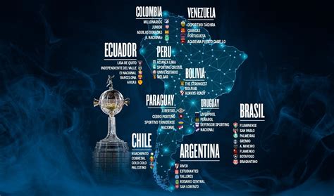 clasificados a la copa libertadores 2024